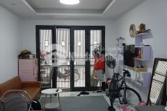 Long biên cực hot phân lô ngay gần vinhomes riverside 39m2 nhỉnh 3 tỷ