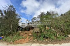 Bán đất tả phìn sapa đón sóng du lịch phù hợp xây khách sạn