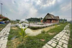 Thiếu vốn cần bán căn nhà vườn 1100m2 huyện củ chi giá 1tr2 m2