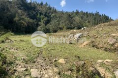 Bán đất sapa diện tích hơn 1000m đầu tư sinh lời cực ổn