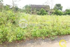 Kpl bảo đại, triệu phong, quảng trị.