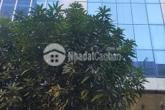 Nhà phố võ chí công, cầu giấy. ô tô, kinh doanh. 120m2 mt 8m 26 tỷ