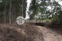 Hơn 1,3 mẫu 4,5 tỷ tân hà, hàm tân 140m đường