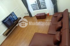 Phân lô ô tô tránh biệt thự hai thoáng trước sau gia chủ bề thế giá trị sống cao