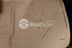 Bán đất nền full thổ tại long an