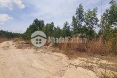 Đất tân xuân 2 mẫu 5 tỷ 150m đường 2 bên kênh hàm tân