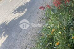 Vỡ nợ cần bán gấp lô đất tại lộc an bảo lâm diện tích 10x36 full mtc