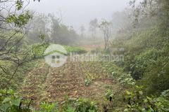 Sự lựa chọn tuyệt vời cho các nhà đầu tư, bán mảnh đất 800m2 tả phìn, sapa