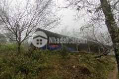 Đón sóng cao tốc lào cai bán nhanh lô đất 1400m2 tại tả phìn, sa pa