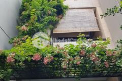 Bán nhà phạm văn bạch, hẻm 6m gần mặt tiền, chỉ 7.9 tỷ.