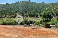 Bán đất gộp 4 sổ 260trsào tổng 3,4ha đất đạ đờn lâm hà lâm đồng đất ven đà lạt