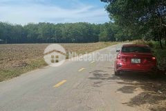 Bán miếng đất rộng 1,4ha an linh, phú giáo giá rẻ, sổ sẵn