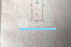 Thửa đất vàng ôtô đỗ cửa, cách mặt phố 20m xây ccmn hoặc toà văn phòng cực đẹp