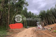 Đất khánh đông 2078m2 cách tl8 chỉ 700m giá chỉ 650 triệu