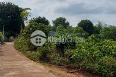 D44 bán đất góc 2 mặt hẻm cấp 2 làng thái xã hòa phú