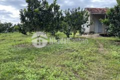 Bán đất 21.000m2 tặng vườn xoài, bưởi, chuối xã khánh nam giá rẻ lh 0788.558.552