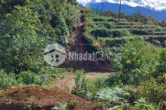 Hơn 1000m2 đất mò phú chải y tý phù hợp đầu tư lướt sóng