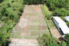 Bán lô đất thôn 3 diên đồng,diên khánh,khu vực đang phát triển nhà vườn