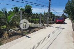 3,4công vườn ấp 3,tam hiệp,châu thành,tiền giang