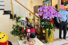 Bán nhà hẻm xe hơi đậu trong nhà, giá hợp lý nhất khu vực