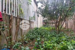 Bán đất phúc lợi cực hiếm, diện tích 103 m2, mặt tiền 5,3 m, giá chỉ 9,2 tỷ.