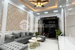 Chủ nhà bán 43m phố ngô xuân quảng, kinh doanh sầm uất