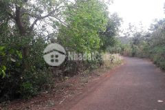 D61 bán rẫy 2 mặt tiền đất hẻm buôn huê gần đường 19 tháng 5