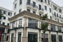 Shophouse phân khu hải âu 9, vinhomes ocean park, lô góc, 169m, 21.9 tỷ