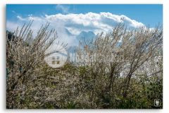 Đất nền y tý, đón sóng quy hoạch khu du lịch đô thị quốc gia