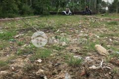 Nằm gần chợ lệ trạch đường bê tông 4m5 sẵn sổ đỏ