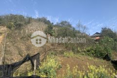 Đất nền sapa giá rẻ, đầu tư sinh lời cho các nhà đầu tư bán mảnh 350m2