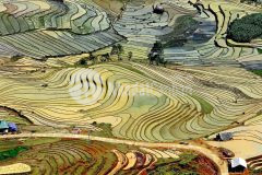 Đầu tư đón đầu khu du lịch sapa chỉ với 1 tỷ