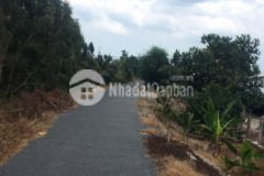 5,8hecta lộ mới,thị trấn mỹ phước,tân phước,tiền giang