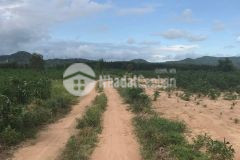 4,1 sào 125m mặt tiền tân phúc hàm tân 1,2 tỷ