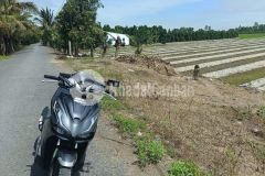 Hàng hót. 11 công mặt tiền lộ nhựa. lộ 869 vào 3km. lô 863 vào 4km. đât nở hậu