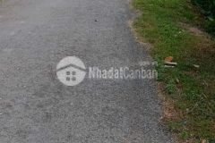 Bán gấp 3,8 công vườn mặt tiền huyện lộ 72 hậu mỹ trinh, cái bè, tiền giang