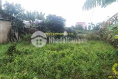 Bán đất quảng trị long hưng, xã hải phú, huyện hải lăng, tỉnh quảng trị