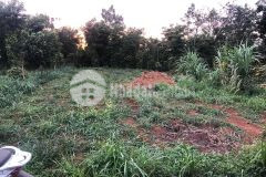 Đất phường khánh xuân giá rẻ