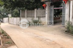 Bán gấp 101m2 đất ngõ phố chùa thông sơn tây,đường ô tô tránh.cạnh kđt á châu.nhỉnh 2 tỷ