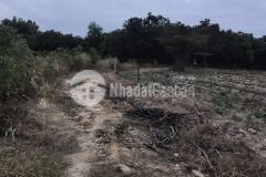 3 sào 100m mặt tiền 1,2 tỷ tân phúc hàm tân