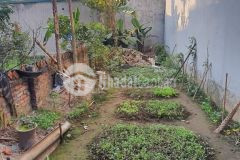 Bán đất phố thanh am cực rẻ, diện tích 65 m2, mặt tiền 4 m, giá chỉ 2,65 tỷ.