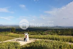 Bán đất tân văn 1,25 tỷ 12x43m2 500m2 lâm hà lâm đồng đất ven đà lạt