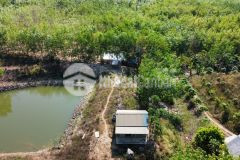 11 ha sát nhựa liên xã 1.14 tỷ ha tân phúc hàm tân