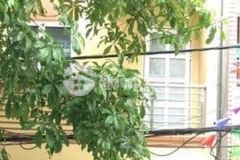 Bán nhà trần phú, hà đông, 55mx5t, mặt phố kinh doanh, ô tô, nhỉnh 10 tỷ.