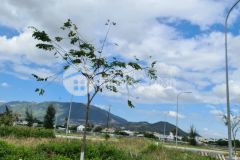 Bán lô 3 mặt tiền view sông kđt lê hồng phong 1, nha trang