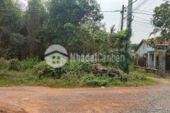 Củ chi đất 1170m2 chỉ 6.5tỷ đường nguyễn thị nê, xã phú hòa đông.