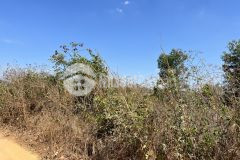 Tân tiến lagi 1,4 ha chỉ 5,6 tỷ đất đẹp