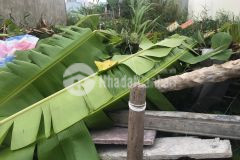 Cần tiền sửa nhà giảm giá bán nhanh nền kdc sơn thuỷ đường nguyễn văn linh giá tốt đầu tư