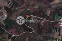 3,5 sào đất 3560m2 cần bán gấp tại xã nam hà, tỉnh lâm đồng