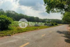 Nắm bắt cơ hội đầu tư đất sào phú giáo, chỉ 1,2 triệum2, cách đường dt741 5km